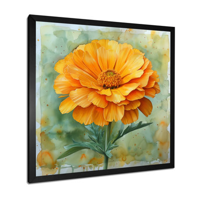 Yellow Green Marigold Delicate Petals II - Marigold Wall Art