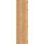 Sapin Douglas-109329541-113998552
