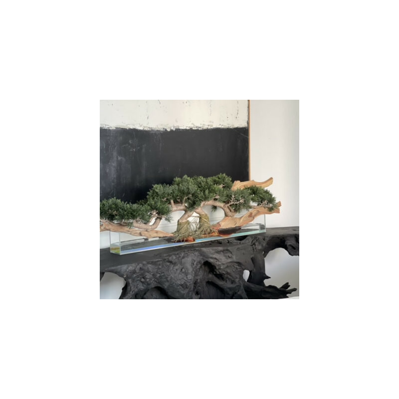 Faux Bonsai Tree in Planter, 10" H x 40" W x 8" D, Dark Green