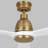 Ceiling Fan with LED Lights-87377910