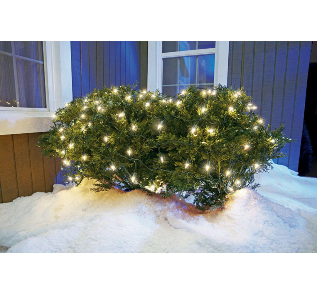 Net Lights The Holiday Aisle®
