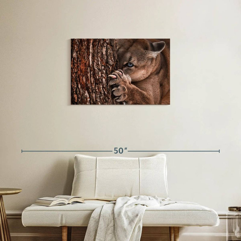 Brampt Peaking Young Cougar, 20" H x 30" W