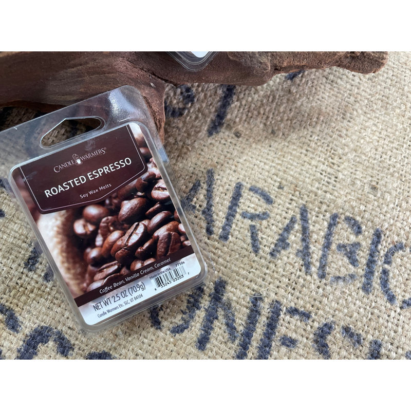 Ensemble de 4 bougies chauffe-bougie, espresso torréfié