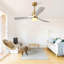Ventilateur de plafond d'intérieur de 52 pouces avec lumière à DEL à intensité variable et télécommande à 6 vitesses pour 3 pièces