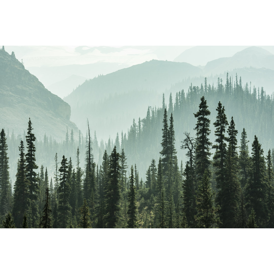 Misty Mountains von MRaust - Kunstdrucke auf Leinwand