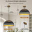 1 Matte Black Pendant-822094855
