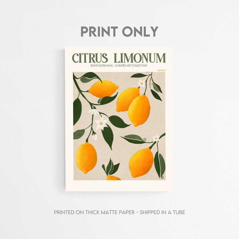 Citron limonum - reproduction d'art botanique rétro citron, H 10 po x l 8 po, Impression encadrée avec passe-partout, Blanc
