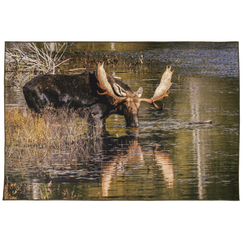 Tapis Moose