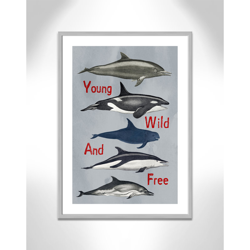«Young and Wild», impression sur papier, H 34,5 po x l 24,5 po x P 1,18 po, Encadré de boîte argent