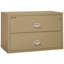 Fireproof 2 - Drawer File Cabinet-217292-331550
