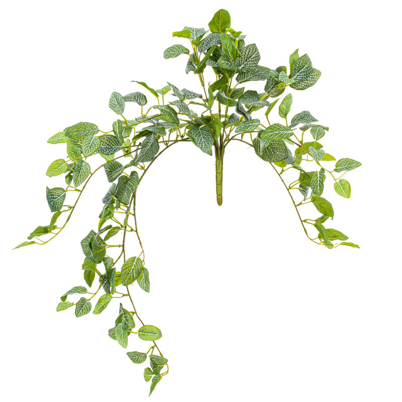  29" Green Artificial Fittonia Bush