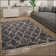 Aquilla Geometric Shag Area Rug