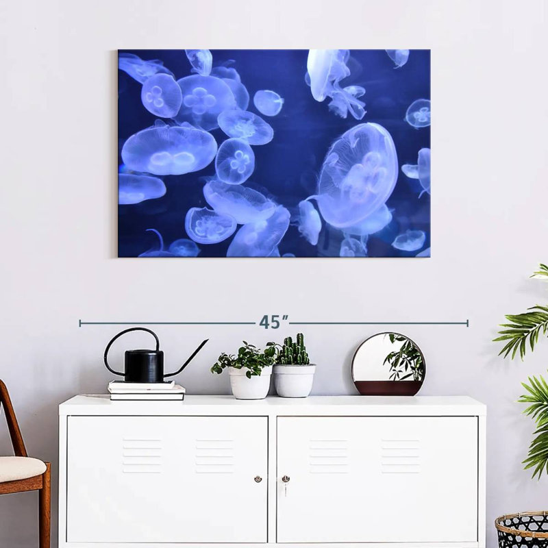 Sea Jellies, 24" H x 36" W
