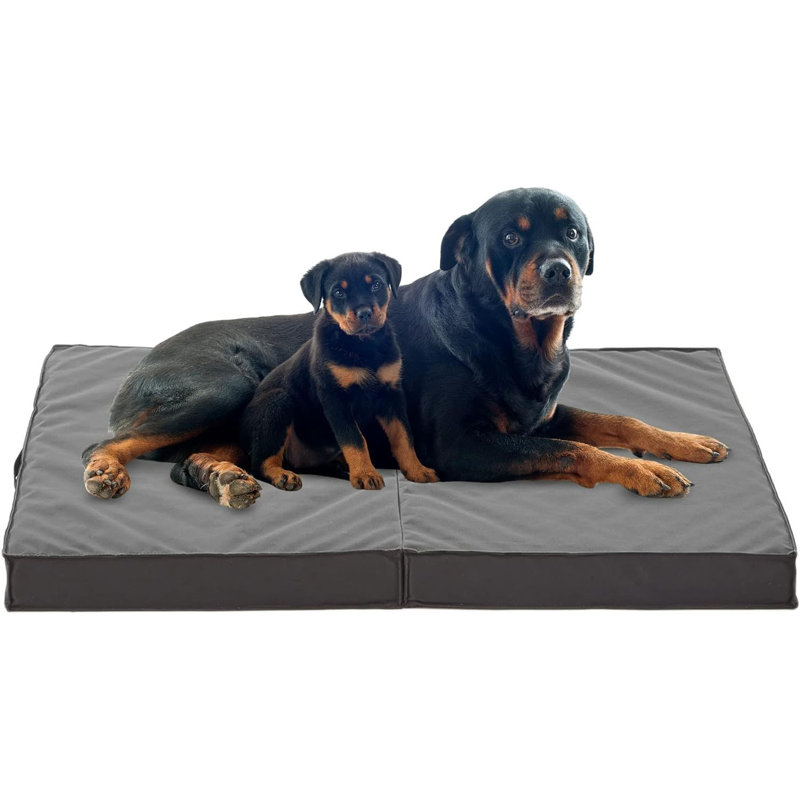 Lit pliable de refroidissement pour chien orthopédique pour l'extérieur intérieur, Très grand (l 41 po x P 29 po x H 3 po)