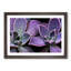 Lilac & Green Succulent Plant - Picture Frame Painting Print-55582516-55582515