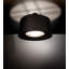 3 - Light Flush Mount