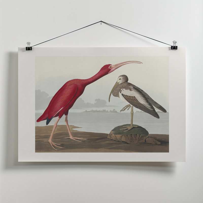 Wrapped Canvas Print, 60.96 cm H x 91.44 cm W