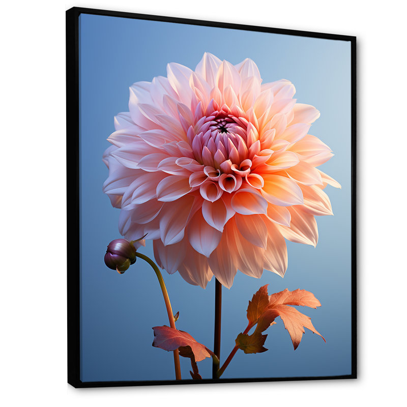 Corail et dahlia bleu dansant II - impression, Cadre flottant noir, H 20 po x l 12 po x P 1 po