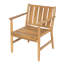 Outdoor Dining Armchair with Cushions