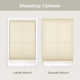 Nolea Cordless Light Filtering Cellular Shade