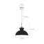 Stellina 1 - Light Matte Black Dome Pendant-827421915