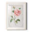 Grandiflora I - peinture encadrée-767280229-767280228