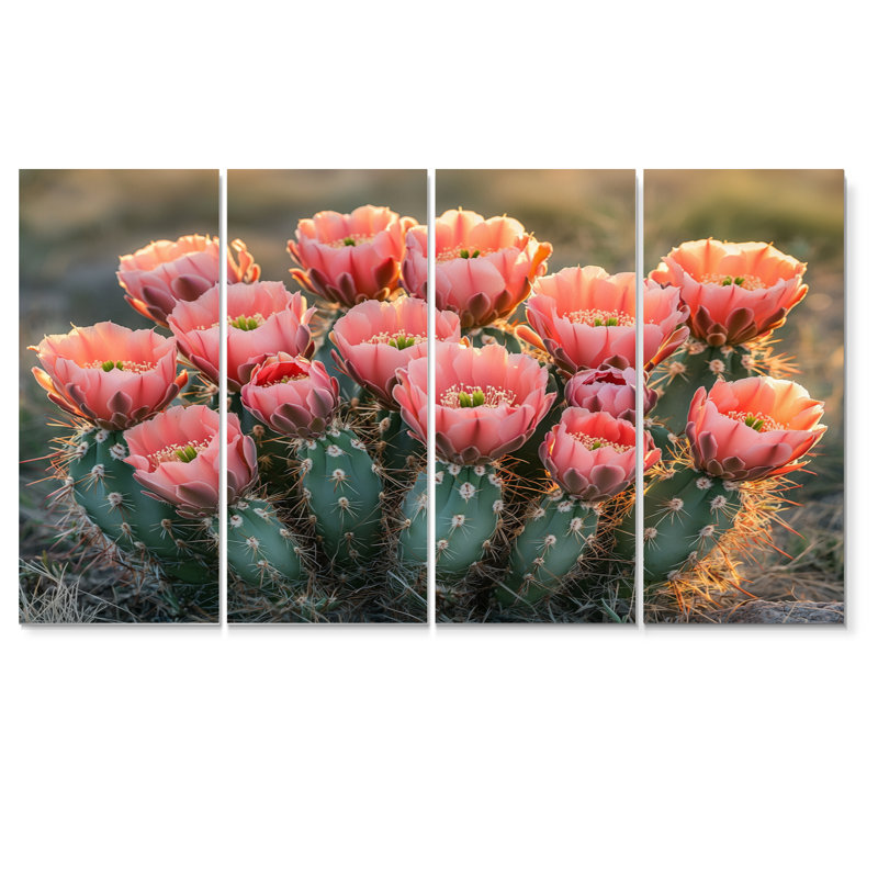 Cactus en pleine floraison à l'aube I - Art mural floral cactus - ensemble d'art mural traditionnel, H 28 po x l 48 po, 4