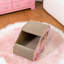 Grattoir en carton pour chat, conception de voiture en forme de beigne, carton pour chat avec tapis à griffer pour chats d'intérieur