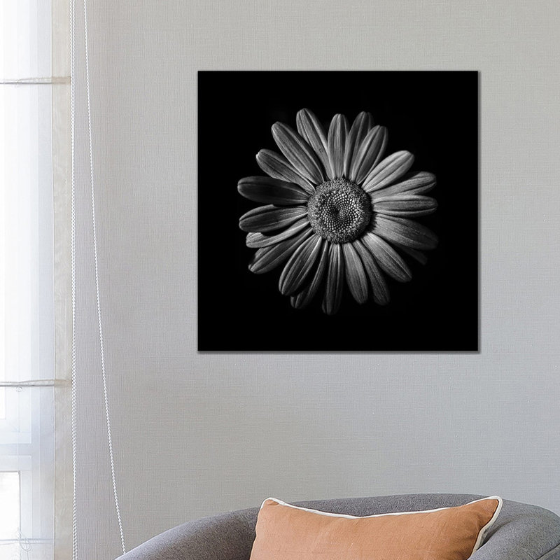 Black and White Daisy II 1 Piece Wrapped Canvas Wall Art, 66.04 cm H x 66.04 cm W x 1.91 cm D