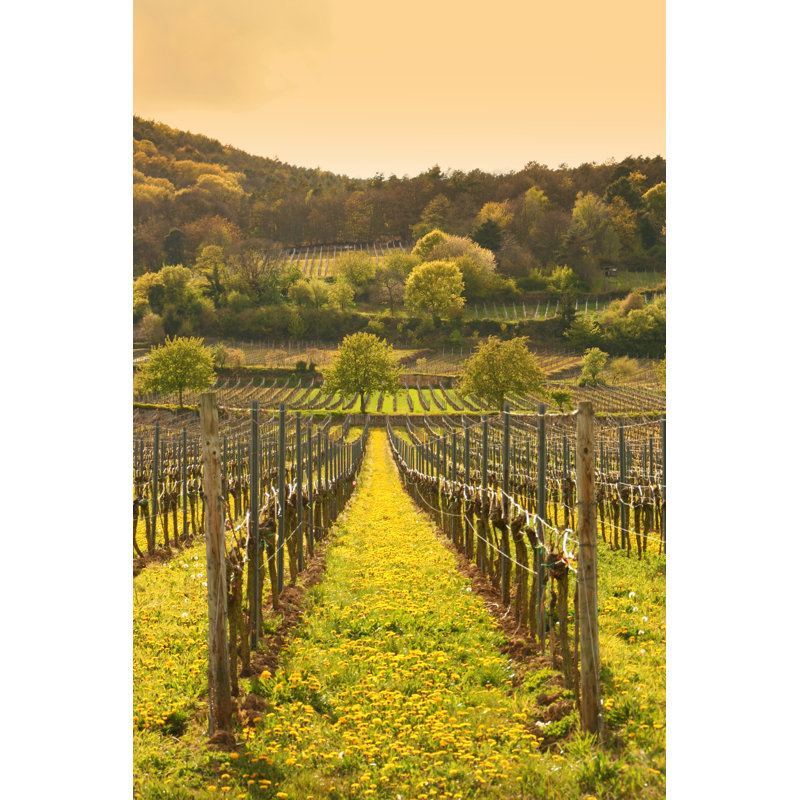 Anamosa Spring Vineyard 1 Piece Wall Art on Canvas, 122cm H x 81cm W x 3.8cm D