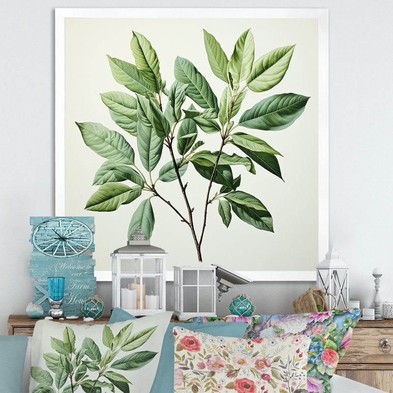 Menthe fraîche, minimalisme, feuilles, sérénité I, H 24 po x l 24 po x P 1 po, Cadre simple blanc