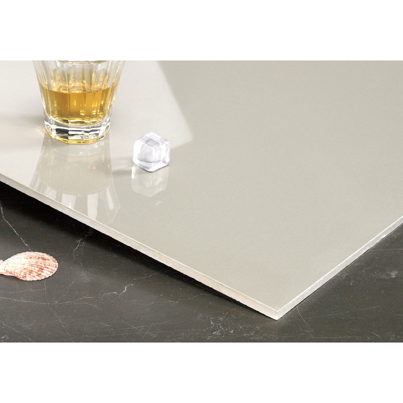 Element 24" x 24" Porcelain Concrete Look Wall & Floor Tile, Argent Gray