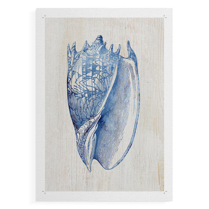 Coquille II - Impression sur toile seulement - NON-CADRE, H 18 po x l 12 po