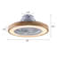 Riemy 20'' Ceiling Fan with LED Lights