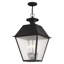 Lanterne suspendue d'extérieur Arnetria à 4 lumières H 24,5 po-22670192