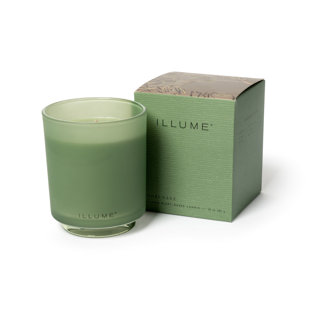 Beautifully Done Hinoki Sage Candle