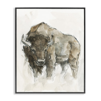 Buffalo Western American Brown Country Animal