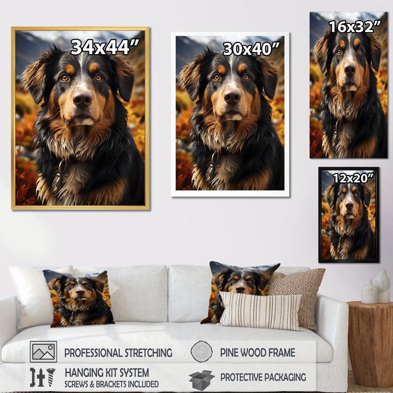 Bernese Mountain Majesty III, Cadre flottant doré, H 32 po x l 16 po x P 1 po