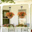 Hanging Basket Arrangement