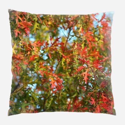 Outdoor Reversible Throw Pillow