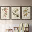 Oiseau de riz Wandering, reproduction d'art sur toile-1813864138-1813864137
