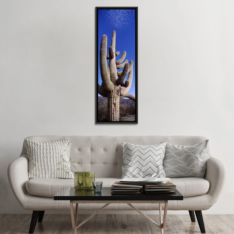 Reproduction de photo panoramique sur toile tendue, parc national de saguaro, tucson, H 36 po x l 12 po x P 1,5 po