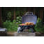 Barbecue au gaz Napoleon TravelQ ™ Napoleon-56804819