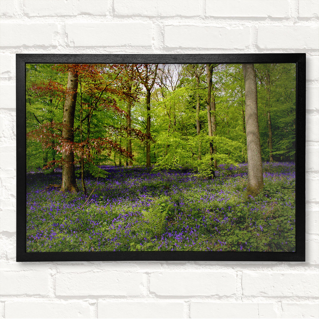 Lila Blumen im Wald - Geschlossener Eckrahmen Kunstdrucke auf Holz