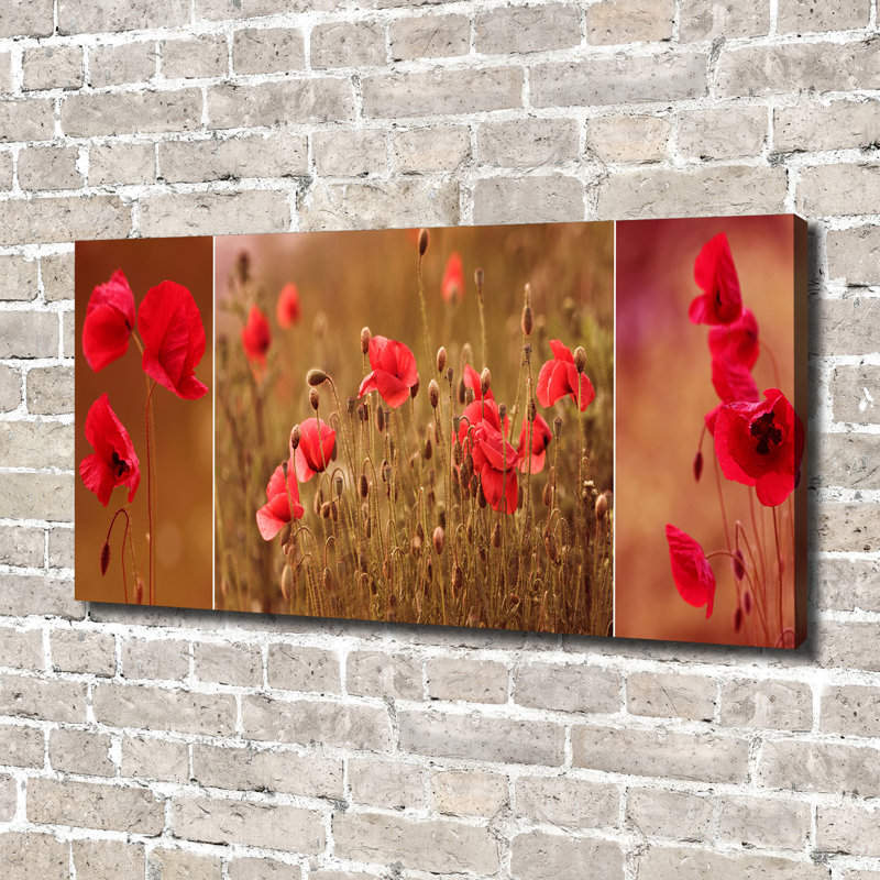 Maki Triptych - Wrapped Canvas Print