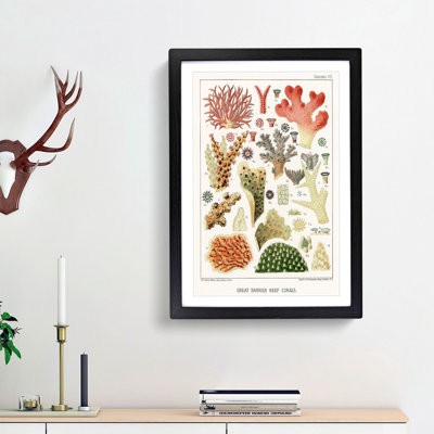 Great Barrier Reef Corals VII by W. Saville-Kent - Picture Frame Painting Print on MDF