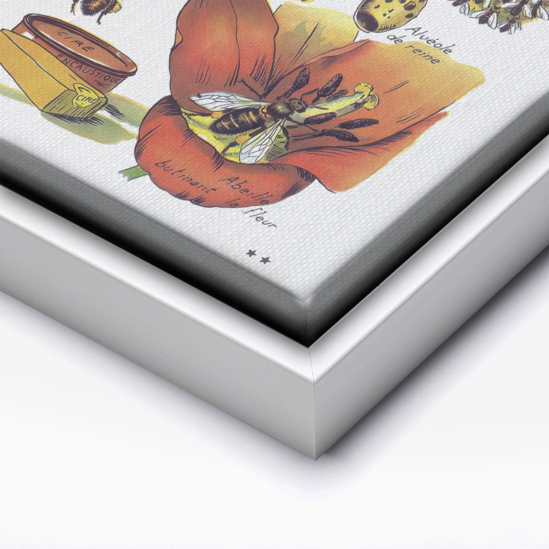 La Vie De L'Abeille, Canevas, Encadrement blanc, H 08 po x l 10 po