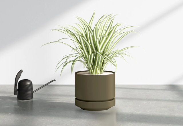 Best-Selling Planters From $30