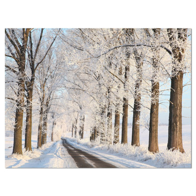Beautiful Winter Lane at Morning - Reproduction de photo sur toile tendue
