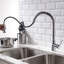 Belfry Kitchen Freelon Pull Out Kitchen Faucet